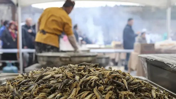 Tunca Belediyesi Hamsi Festivali