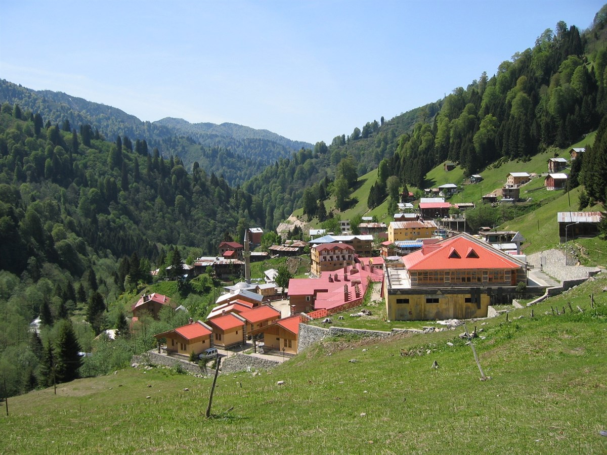 Ayder Yaylası
